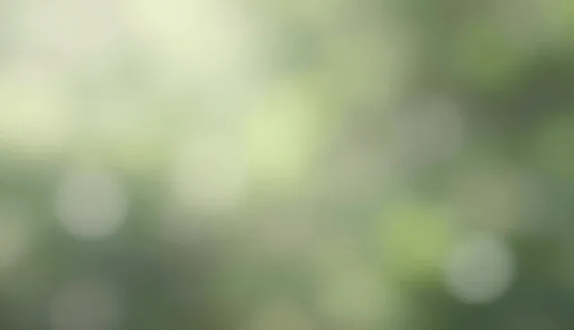 网络技术开发选型关注点,如何应对技术挑战